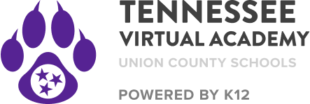 Tennessee Virtual Academy