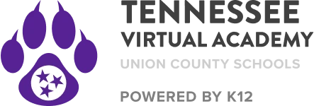 Tennessee Virtual Academy
