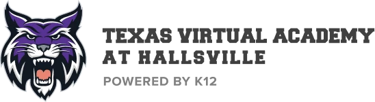 Texas Virtual Academy at Hallsville