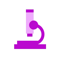 Accordion Icon